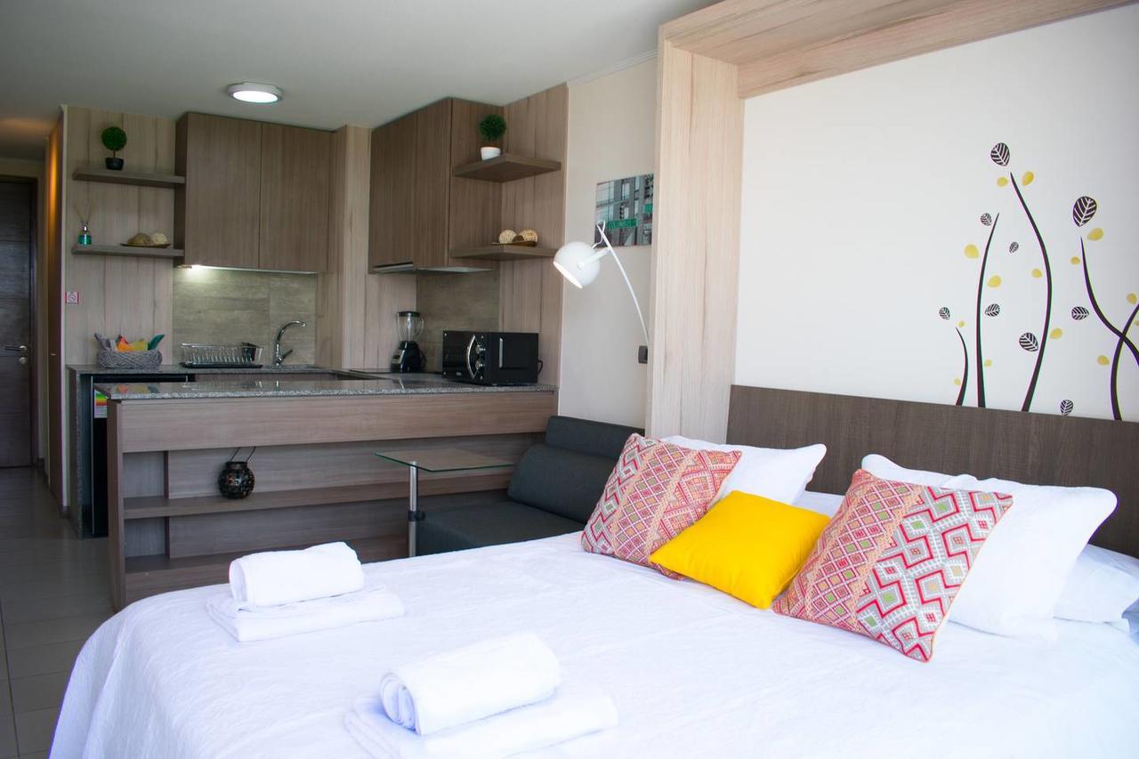 Lotus Blanc Studio- W/ Mountain View, Pool And Gym Santiago de Chile Bagian luar foto